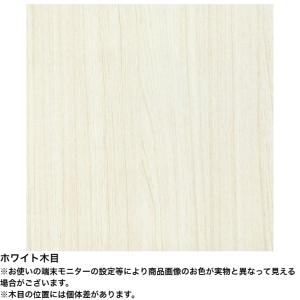 シューズラック フルニコ FUL-1180SD...の詳細画像5