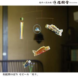 桂樹舎 室内用 鯉のぼり単品 中 071 日本の心がこもる越中八尾の和紙