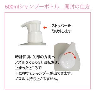 ケラスターゼ シャンプー KERASTASE ...の詳細画像5