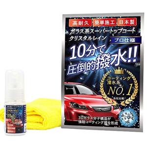 30ml DIY ガラス系 コーティング剤 スプレー