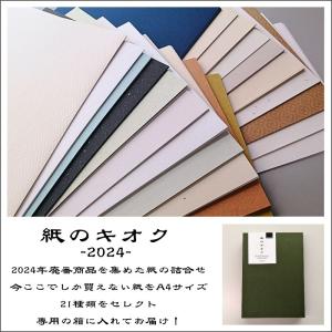 紙のキオク 2024/1個 特殊紙 ファンシー...の詳細画像1