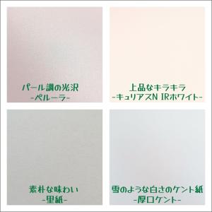 紙屋さんのオトシもの ハーフ ホワイト系特殊紙...の詳細画像3
