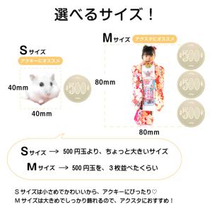 写真を送るだけ!自分で作る オリジナル アクリ...の詳細画像2