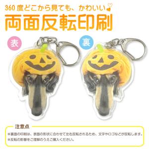 写真を送るだけ!自分で作る オリジナル アクリ...の詳細画像4