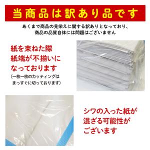 無地新聞紙 新聞紙 新品の新聞紙 訳あり 通常...の詳細画像1
