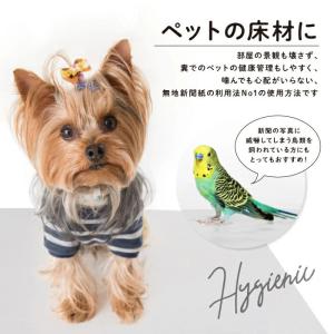 新聞紙 新品の新聞紙 無地新聞紙 梱包材 緩衝...の詳細画像2