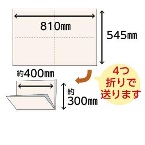新聞紙 梱包材 緩衝材 詰め物 更紙 床材 巣...の詳細画像1
