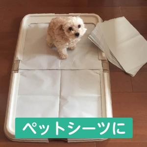 新聞紙 梱包材 緩衝材 詰め物 更紙 床材 巣...の詳細画像2