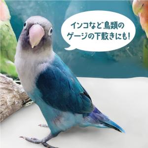 新聞紙 梱包材 緩衝材 詰め物 更紙 床材 巣...の詳細画像5