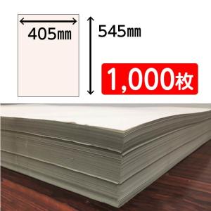 新聞紙 梱包材 緩衝材 詰め物 更紙 床材 巣...の詳細画像2