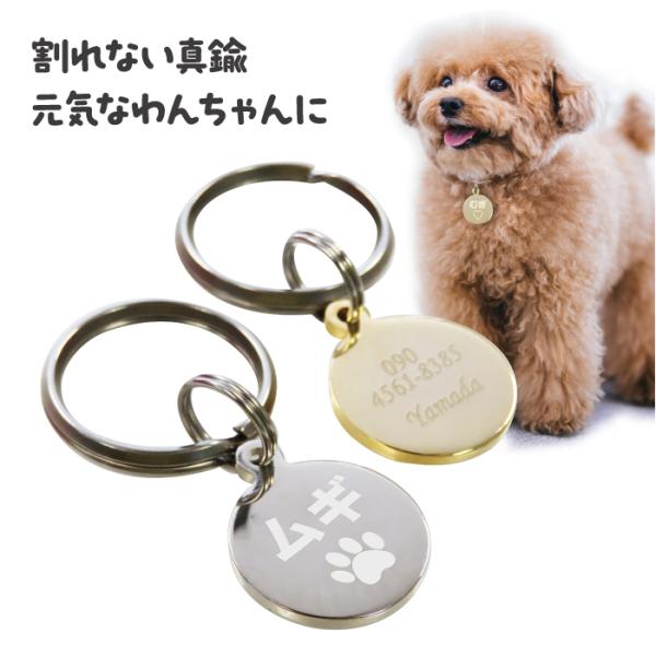 迷子札 犬 猫 迷子 防止 丸小型 ネームタグ ドッグタグ ペットタグ 午前注文で即日発送 安心追跡...