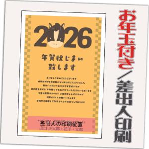 年賀状じまい お年玉付 年賀はがき 20枚 85円切手込 文章印刷済み 終活