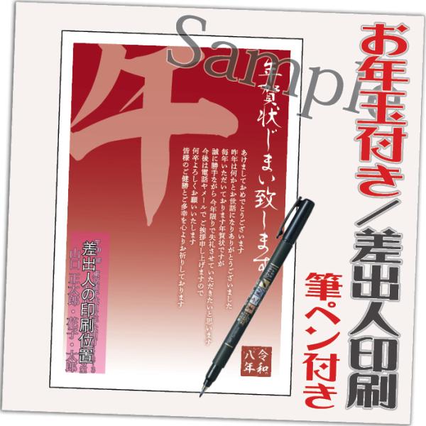 年賀状じまい お年玉付 年賀はがき 20枚 85円切手込 文章印刷済み 終活年賀状 年賀状辞退 筆ペ...