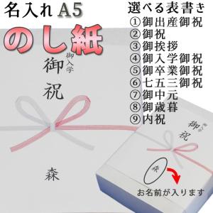 のし紙 蝶結び 熨斗紙 印刷 名前入り 名入れ 御祝い 御挨拶 20枚 A5サイズ 送料無料