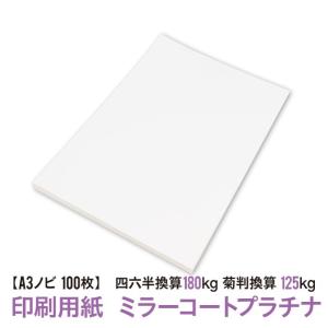 【中古】情報用紙〈2000〉 (新:ペーパー・セールス・エンジニアリング・シリーズ) レザック66 175kg(0.21) or 215kg(0.26mm) A4/20枚 エンボス調 特殊紙
