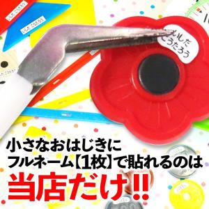 はかどるピンセット付き お名前シール 算数セッ...の詳細画像1