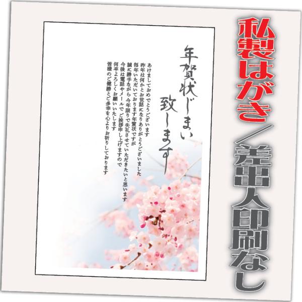 年賀状じまい 私製はがき 20枚 文章印刷済み 終活年賀状 年賀状辞退 2026年 差出人なし（デザ...