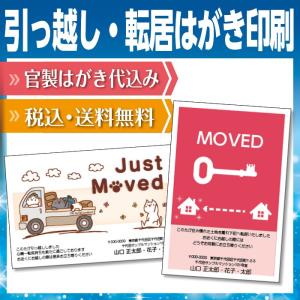 転居はがき 引っ越しはがき はがき代込 住所印刷あり 20枚 鍵 猫の引っ越し ストーリー性 送料無料｜kamittell