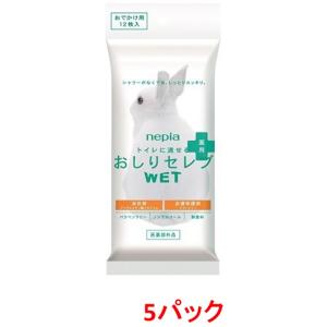王子ネピア　ネピア　おしりセレブWET　薬用おでかけ用　12枚　無香料　5パック　まとめ買い　送料無...
