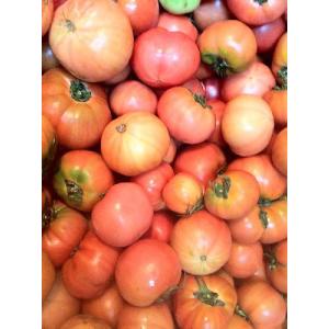 (トマト3kg)【和歌山産】【わけあり/訳あり/ワケあり】(完熟)【昔なつかしい味のトマト】【土で育てた桃太郎トマト】3kg