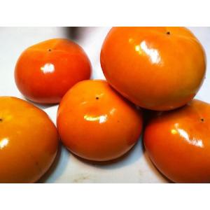 (送料無料)(わけあり・訳あり・ワケあり)(ご家庭用)富有柿10kg 鳥取・奈良産