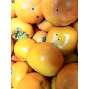 (送料無料[北海道・沖縄は除く])(わけあり/訳あり/ワケあり)(和歌山産)富有柿(ふゆ柿)10kg