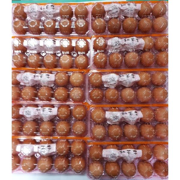 お中元・お歳暮(濃厚)(送料無料)黄身が自慢の初玉子(真っ赤卵)(たまご・卵)(10コ入り×10パッ...