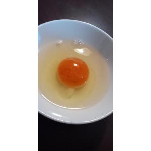 お中元・お歳暮(濃厚)(送料無料)黄身が自慢の...の詳細画像1