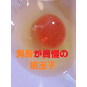 お中元・お歳暮(濃厚)(送料無料)黄身が自慢の...の詳細画像2