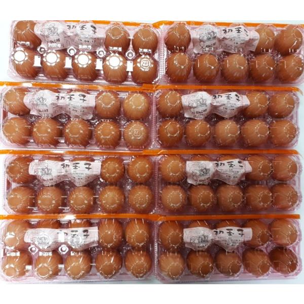 お中元・お歳暮(濃厚)(送料無料)黄身が自慢の初玉子(真っ赤卵)(たまご・卵)(10コ入り×8パック...