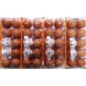 お中元・お歳暮(濃厚)(送料無料)黄身が自慢の初玉子(玉子・たまご・卵・鶏卵)(10コ入り×4パック＝40コ)