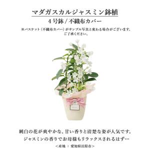 【ポイント+5%】 母の日 ギフト 2026 ...の詳細画像3