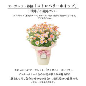 【ポイント+5%】 母の日 ギフト 2026 ...の詳細画像5