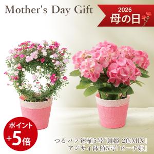 母の日 ギフト 2026 プレゼント 花 送料無料 鉢植え つるバラ 「舞姫　2色MIX」 アジサイ 「ピーチ姫」ボーナス等5％ 爆買