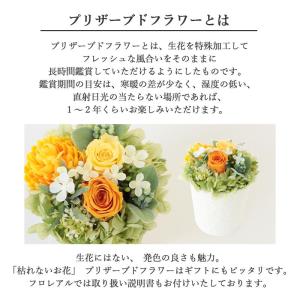 プリザーブド 銀座花門 プリザ 銀座 『クレー...の詳細画像4