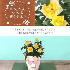 【遅れてごめんね】父の日ギフト 2026 プレ...の詳細画像3