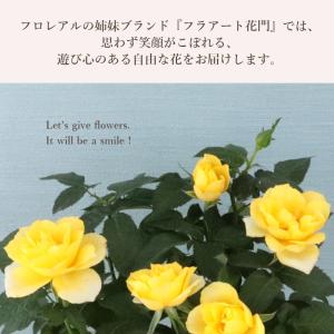 【遅れてごめんね】父の日ギフト 2026 プレ...の詳細画像4