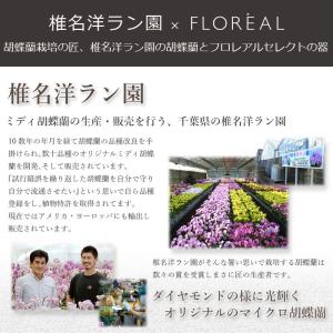 プレゼント 花 ギフト 誕生日 敬老の日 フロ...の詳細画像1
