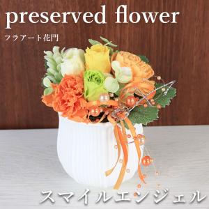 生花 スターチス HBスターチス ブルファン 5本 切花 切り花 生け花