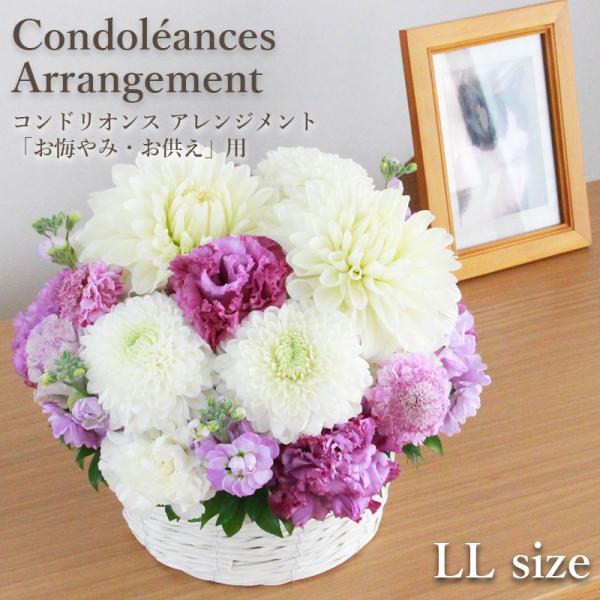花 お悔やみ お供え 限定商品 フロレアル コンドリオンス アレンジメント LLサイズ（器２種・花3...