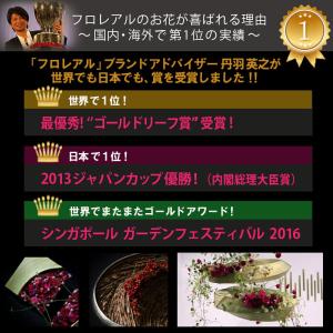 グリーン ギフト フラアート花門 観葉植物 大...の詳細画像4