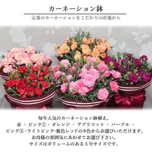 母の日 ギフト 2026 プレゼント 花 送料...の詳細画像5