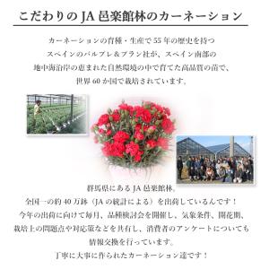 母の日 ギフト 2026 プレゼント 花 送料...の詳細画像5