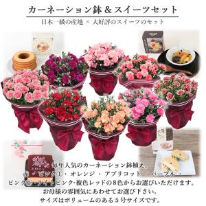 母の日 ギフト 2026 プレゼント 花 送料...の詳細画像4