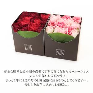母の日 ギフト 2026 プレゼント 花 フロ...の詳細画像5