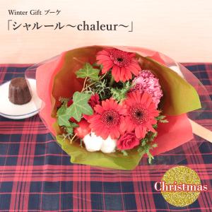 「シャルール」 花 ギフト クリスマス ガーベラ 花束 ブーケ 送料無料 優良配送 2023 花 フラワー ギフト ウィンターギフト プレゼント