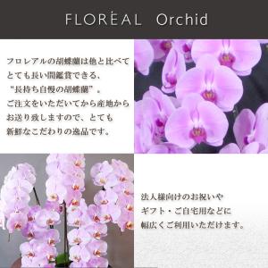 花 ギフト 誕生日 フロレアル オーキッド 胡...の詳細画像1