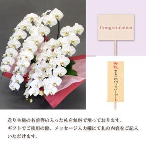 花 ギフト 誕生日 フロレアル オーキッド 胡...の詳細画像2