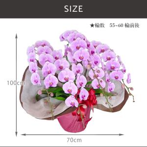 花 ギフト 誕生日 フロレアル オーキッド 胡...の詳細画像3