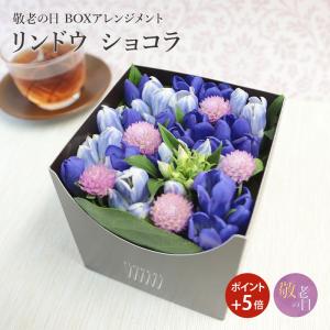 ハイビスカス メデューサ(八重咲き) 7寸鉢 鉢花 贈り物 ギフト